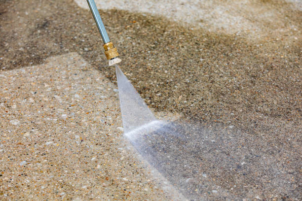 Animal Enclosure Cleaning in Three Oaks, FL